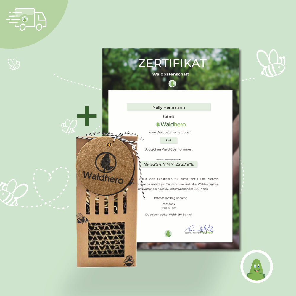 Waldpatenschaft mit Zertifikat auf Öko-Graspapier + Wildbienenhotel
